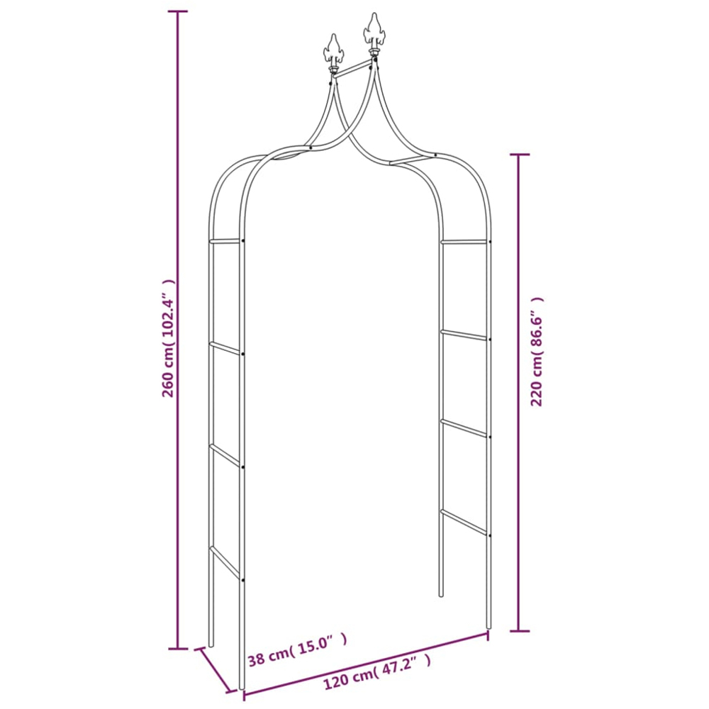 vidaXL Black Steel Rose Arch Garden Arbour 2 Pack Image 6