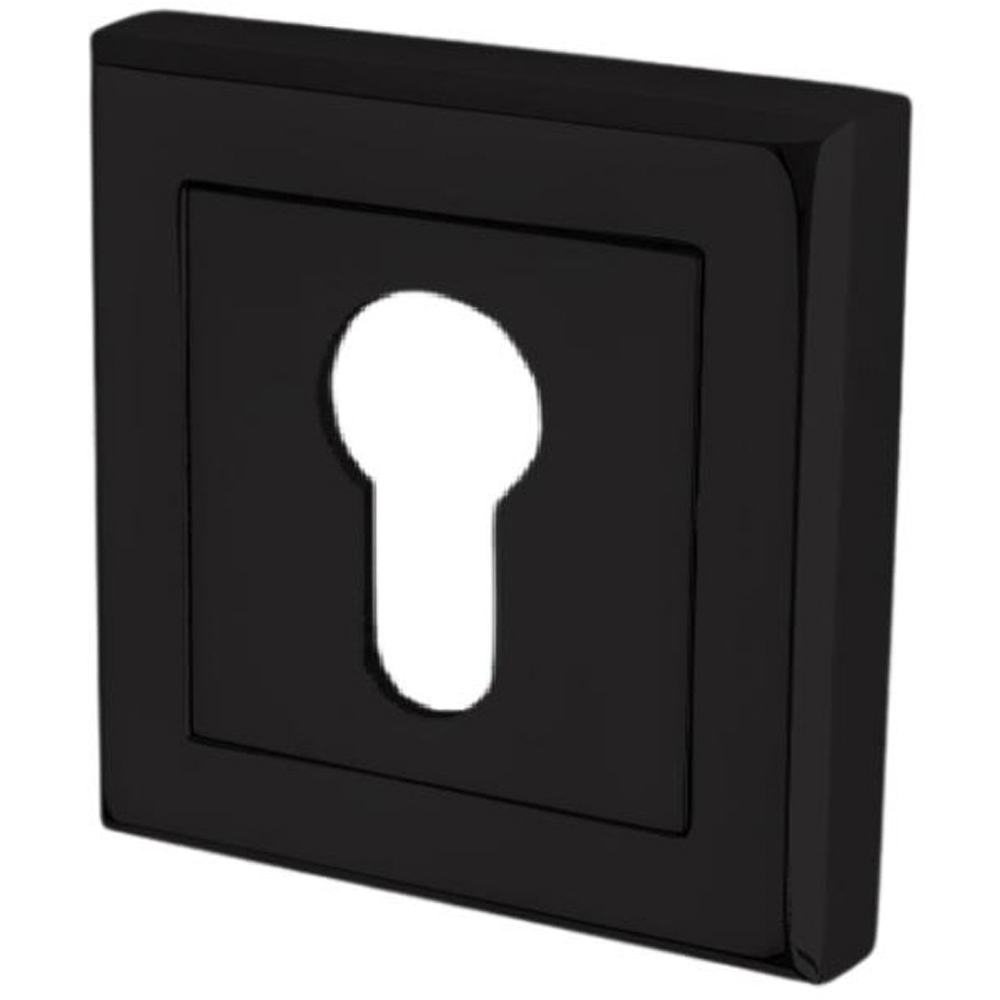 Golden Grace Matt Black Euro Square Rose Key Hole Image