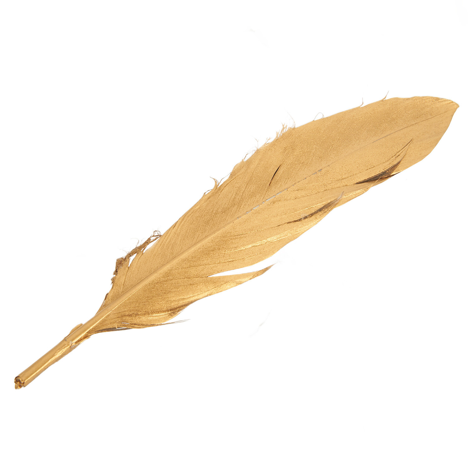 Pack of 6 True Moments Gold or Silver Feathers Image 4