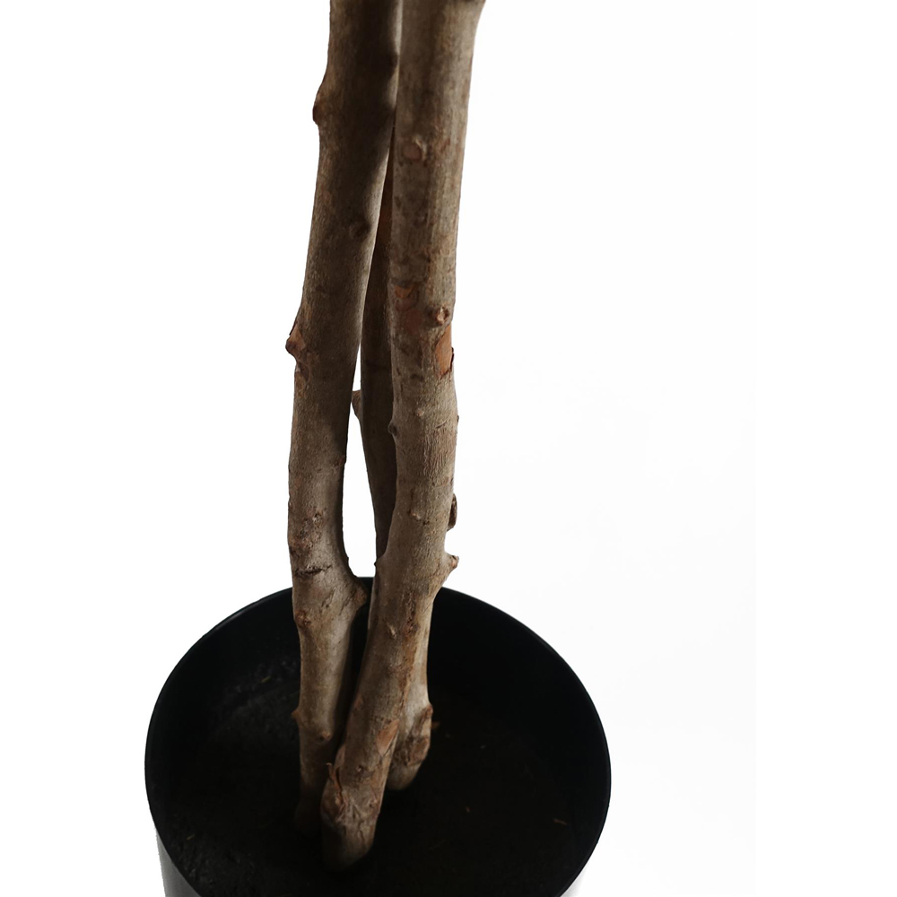 Leaf Forsythia Artificial Tree in Pot 60cm Image 3