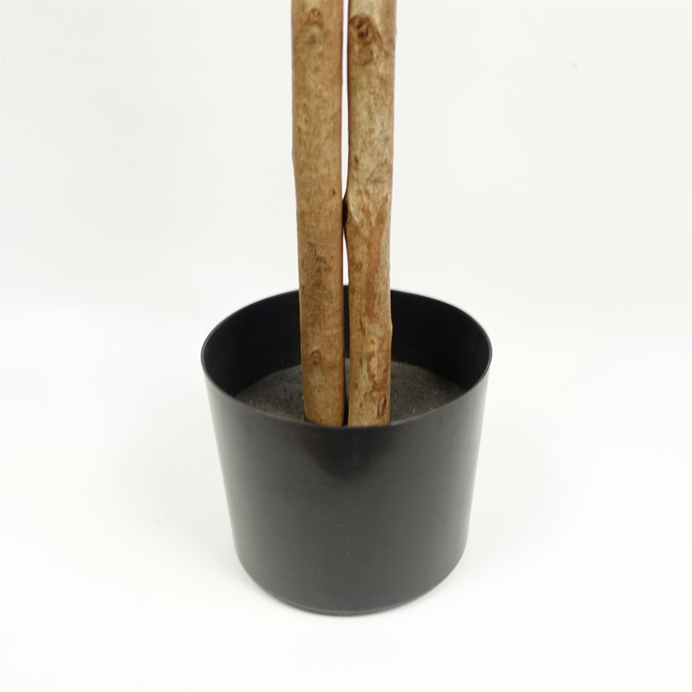 Botanik Ficus Artificial Tree in Pot 5ft Image 4