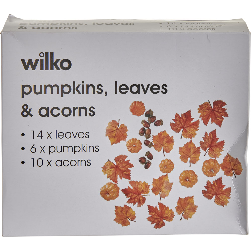 Wilko Halloween Bag of Pumpkins Leaves and Acorns Image 2