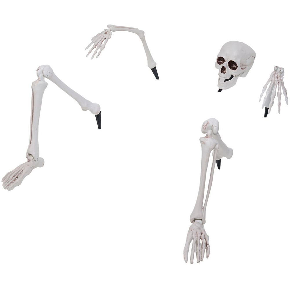 Life-Size Ground Breaking Skeleton White Image 4