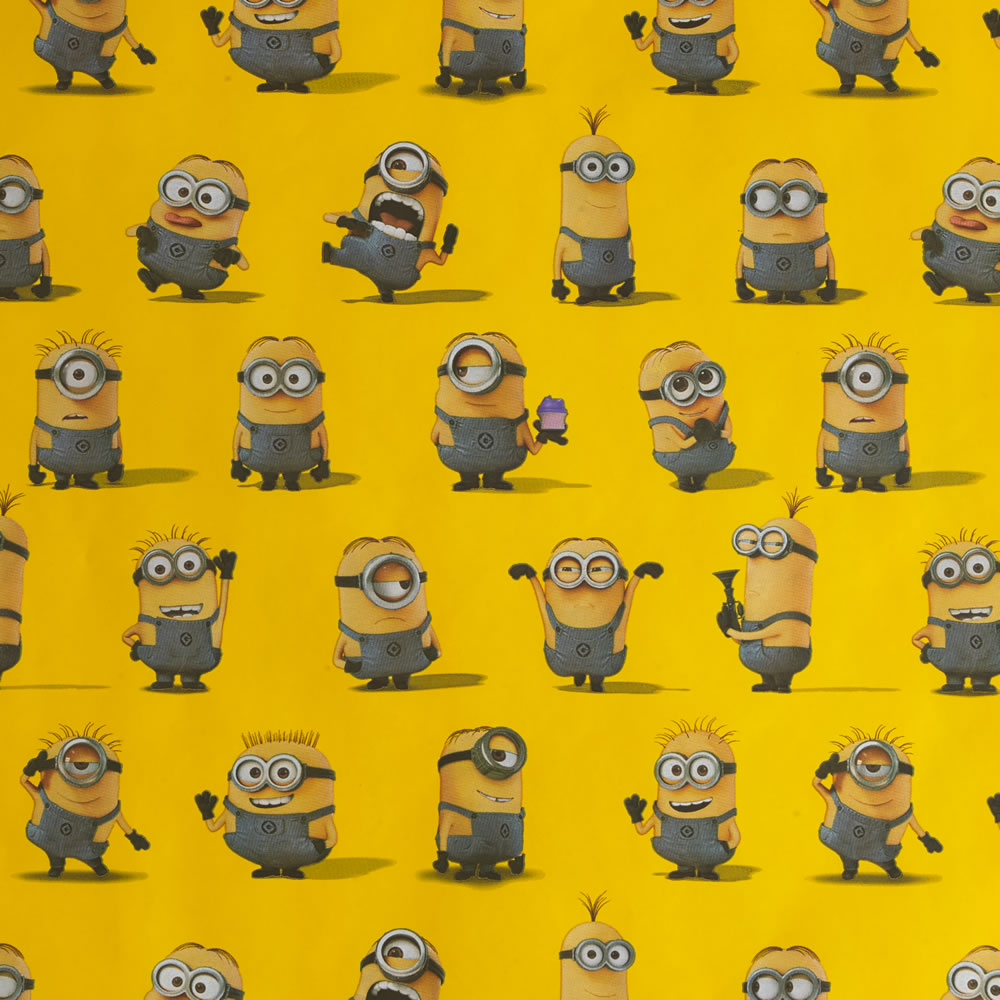 Despicable Me Wrapping Paper Roll 2m Image