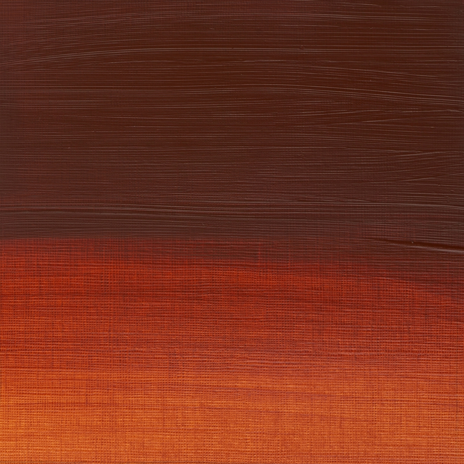 Winsor and Newton Griffin Alkyd Oil Colour - Burnt Sienna Image 2