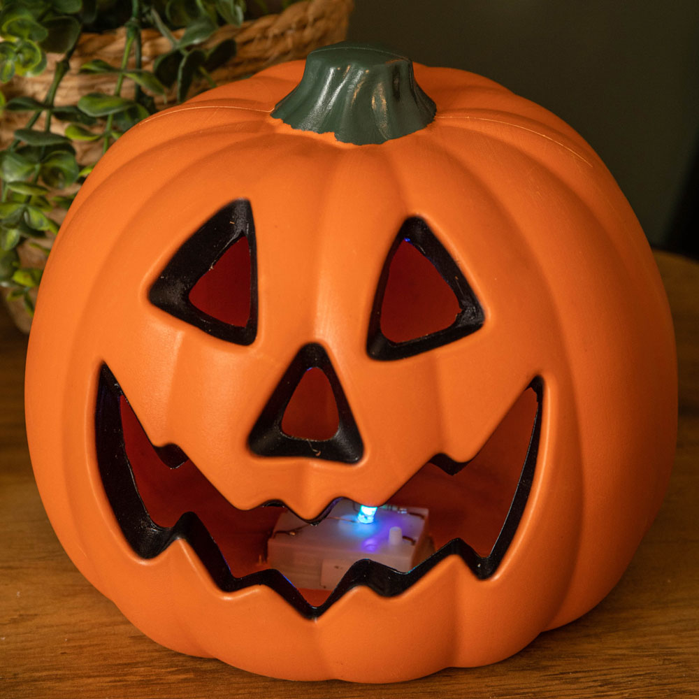 Samuel Alexander Light up Pumpkin Lantern 21cm Image 4