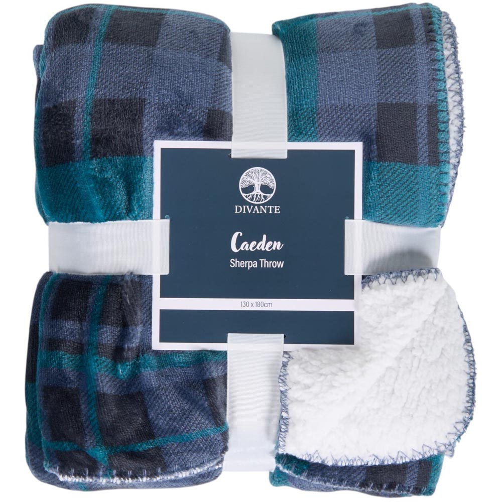 Caeden Check Sherpa Throw - Blue and White Image 1
