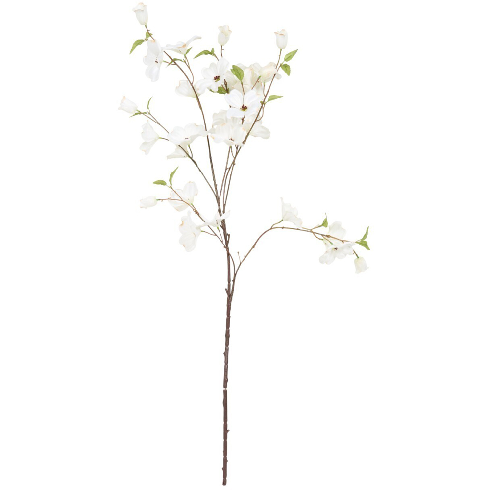 Delicate Dogwood Branch White Image 6
