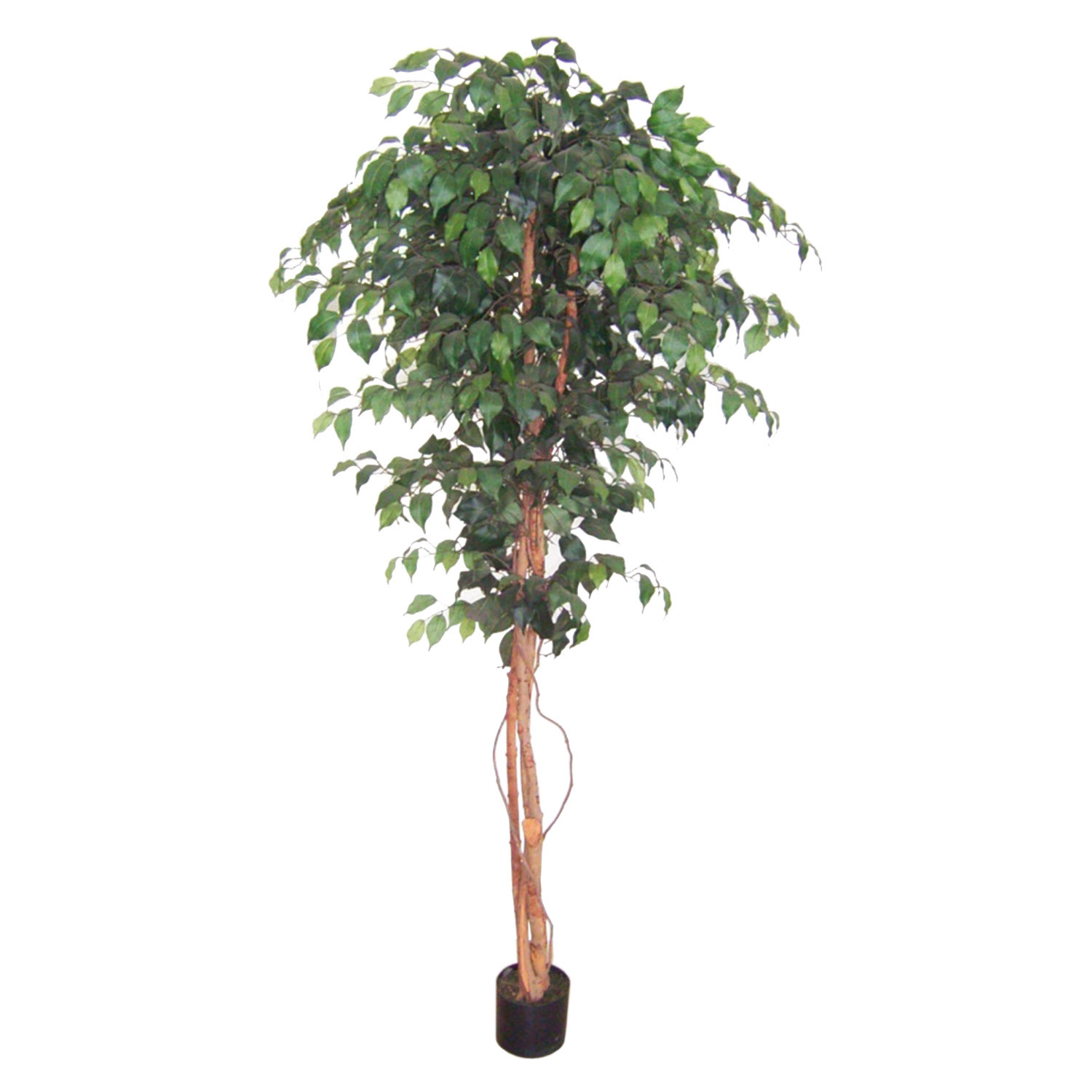 Green Ficus Liana Tree Artificial Plant 6ft Image