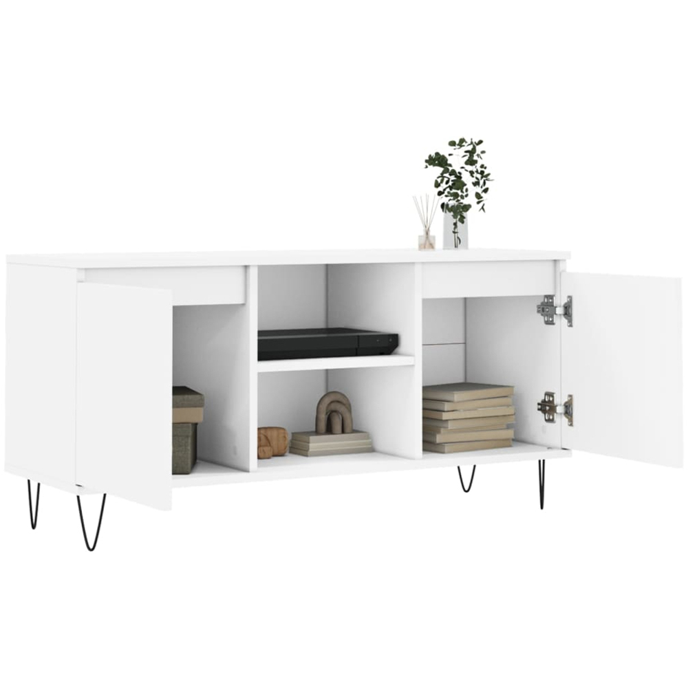 vidaXL 2 Door 2 Shelf White TV Cabinet Image 4
