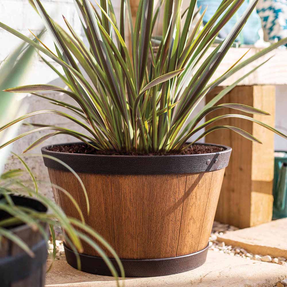 Plant Avenue Oban Light Oak Whiskey Barrel Planter 33cm Image 4