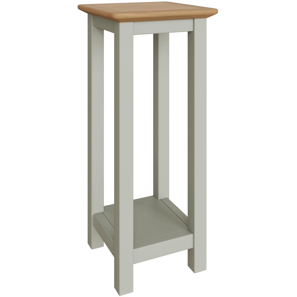 FWStyle Taberno Single Shelf Sage Green and Oak Side Table Image 2