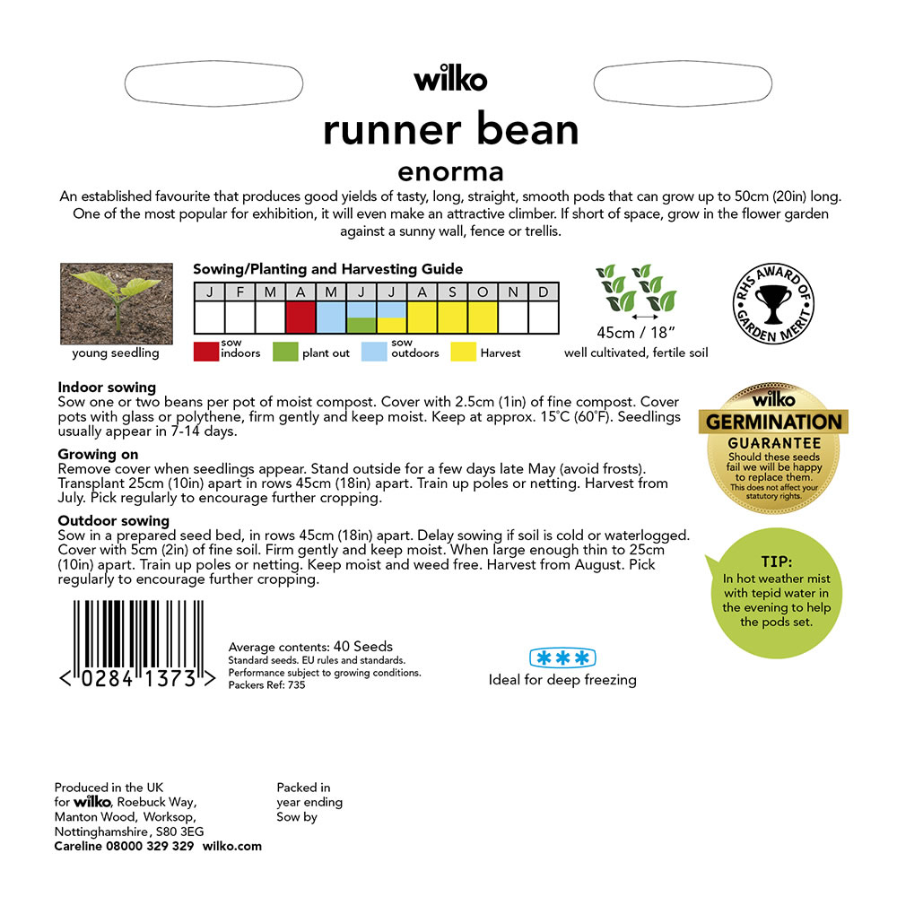 Wilko Runner Bean Enorma Seeds Image 3