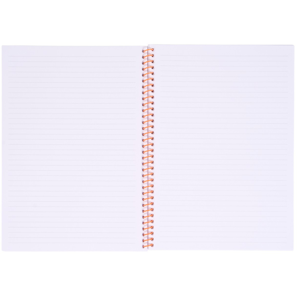 Pack of 3 Capybara Notebooks Image 6