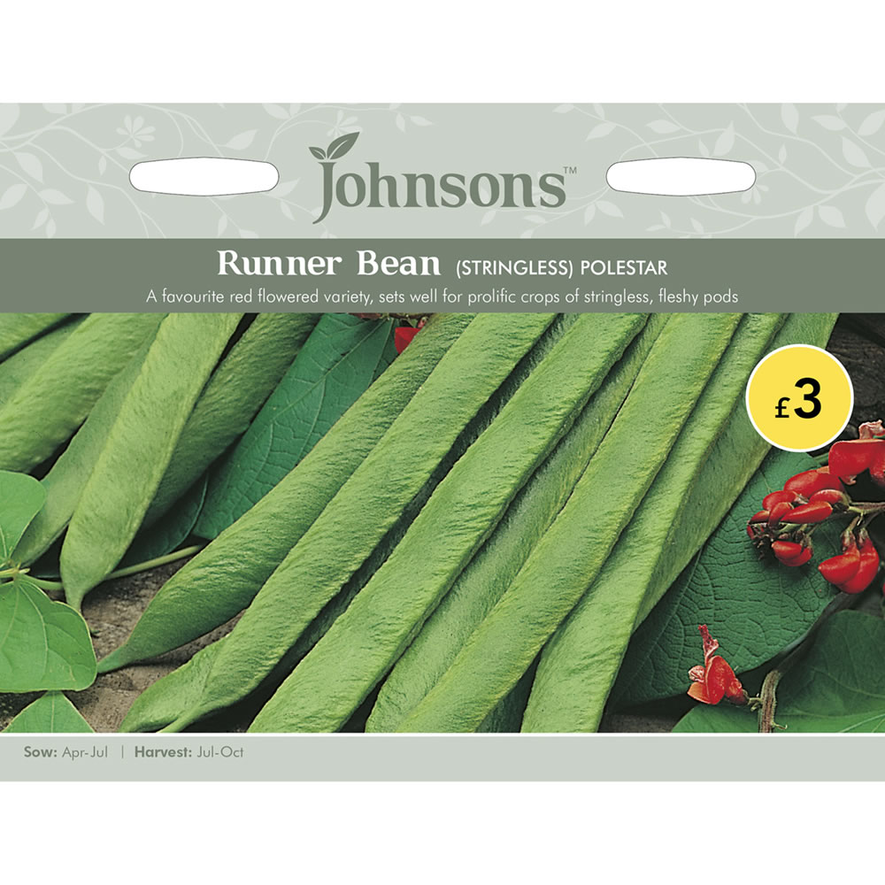 Johnsons Runner Bean Polestar Stringless Seeds Image 2