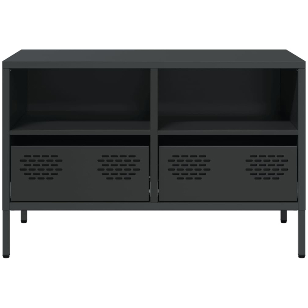 vidaXL 2 Drawer 2 Shelf Black Steel Industrial Style TV Cabinet Image 4