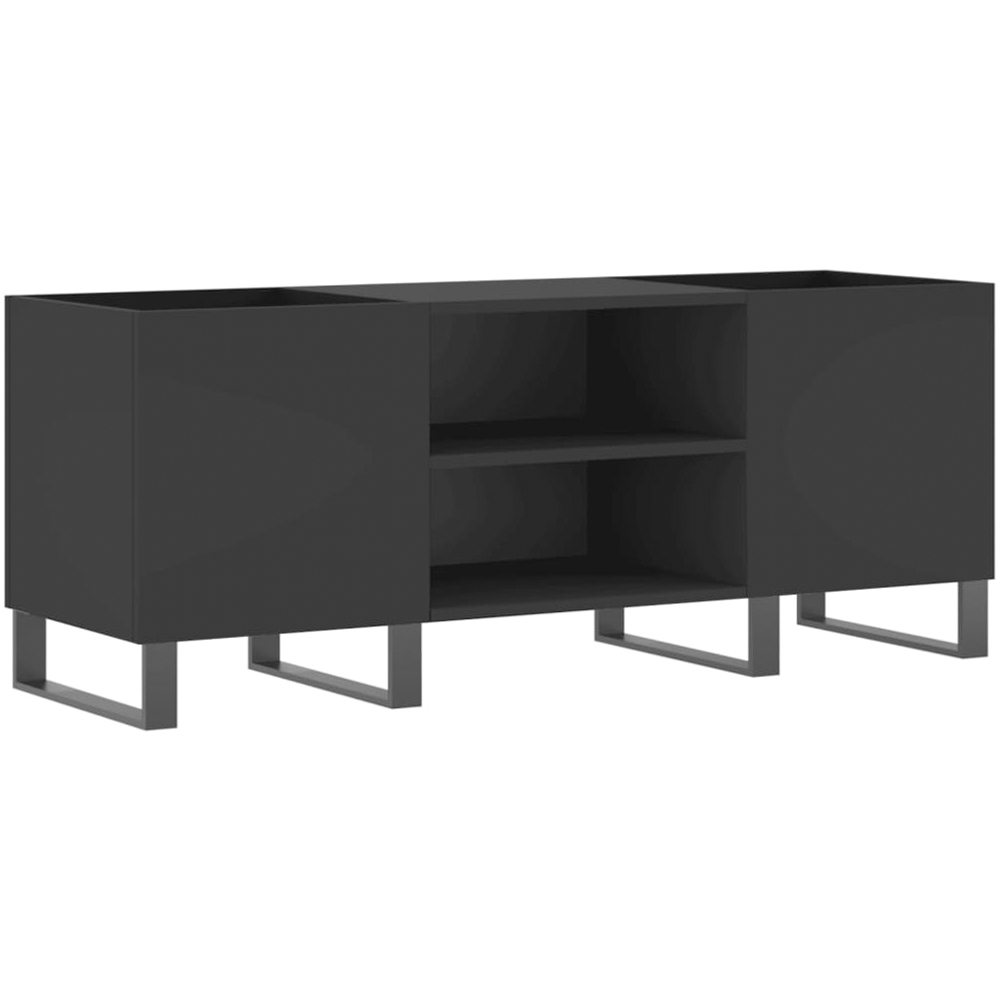 vidaXL 2 Shelf Black Record Cabinet Image 2
