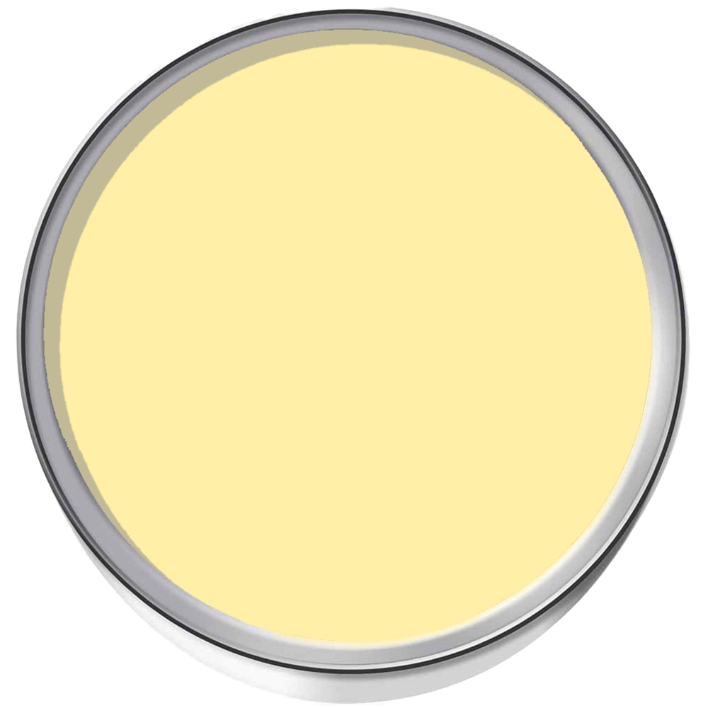 SmartSeal Dark Yellow Anti Mould Paint 5L Image 3