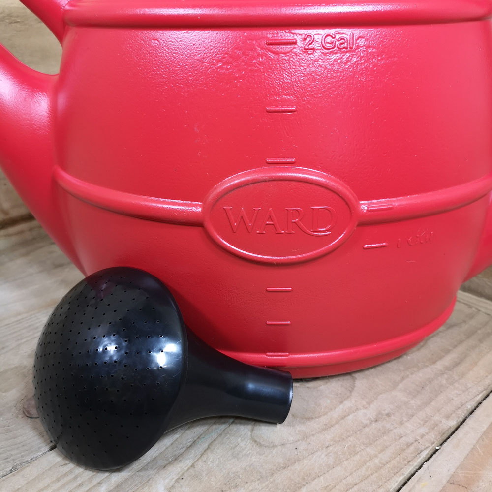 Samuel Alexander Red Watering Can with Rose 10L Image 6