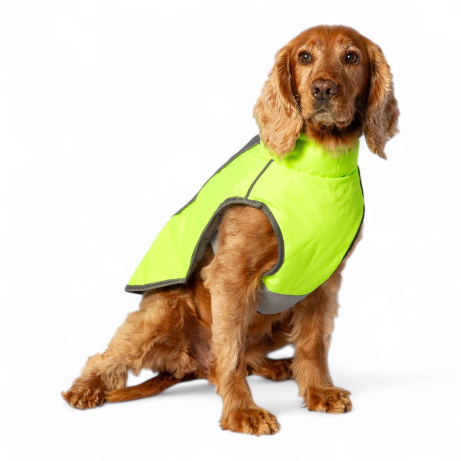 High Visibility Padded Dog Jacket Neon Green XS Image 3