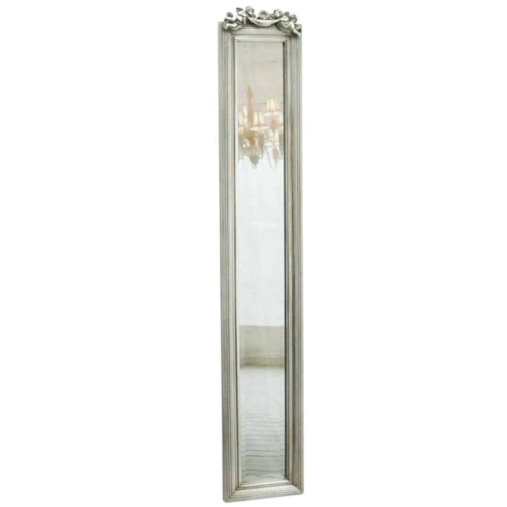 Acacia Home Silver Framed Slim Wall Mirror 109 x 13cm Image 1