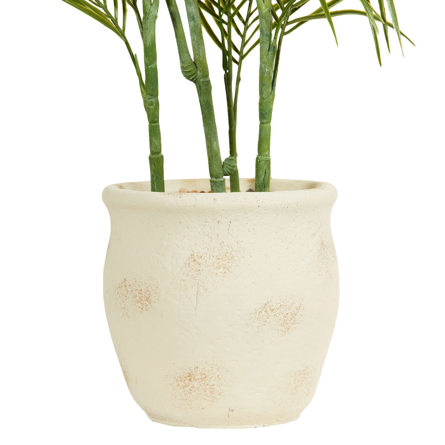 Palm in Cement Pot 100cm - Green Image 3
