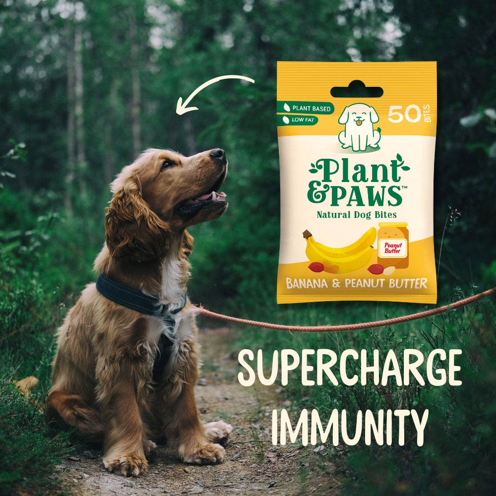Plant & Paws Banana & Peanut Butter Natural Dog Bites 50 Pack Image 2