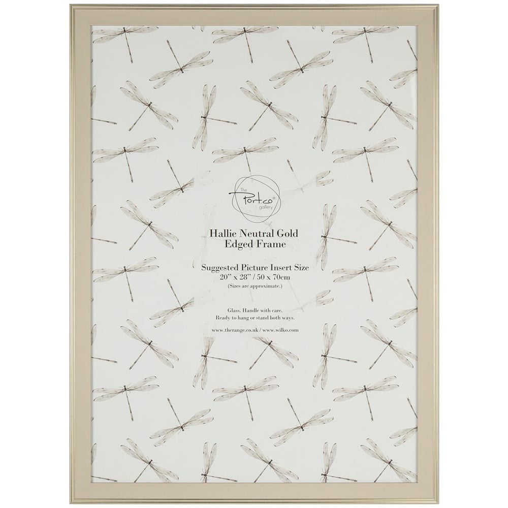 Hallie Neutral Gold Edged Frame - Neutral / 50 x 70in Image 1
