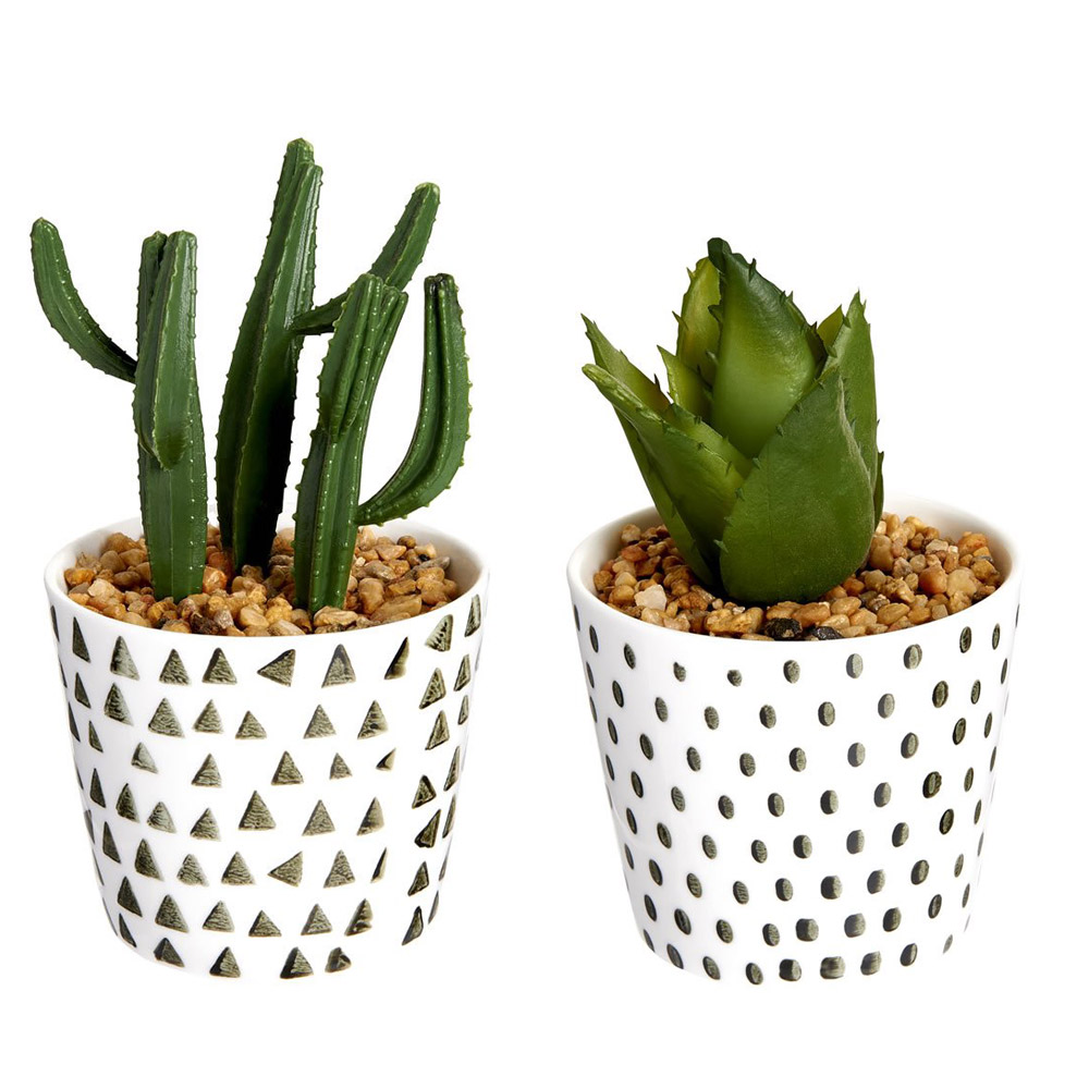 Single Wilko Cactus in Ceramic Pot in Assorted styles Image 1