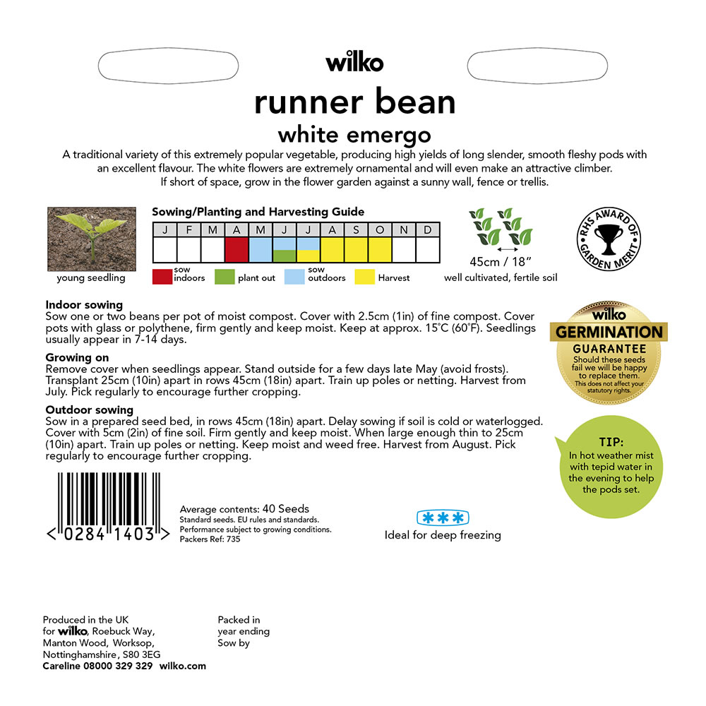Wilko Runner Bean White Emergo Seeds Image 3