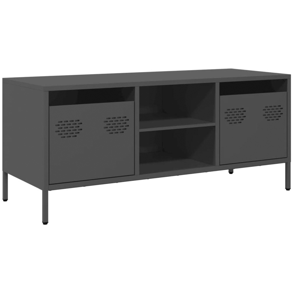 vidaXL 2 Drawer 2 Shelf Black Steel Industrial Style TV Cabinet Image 2