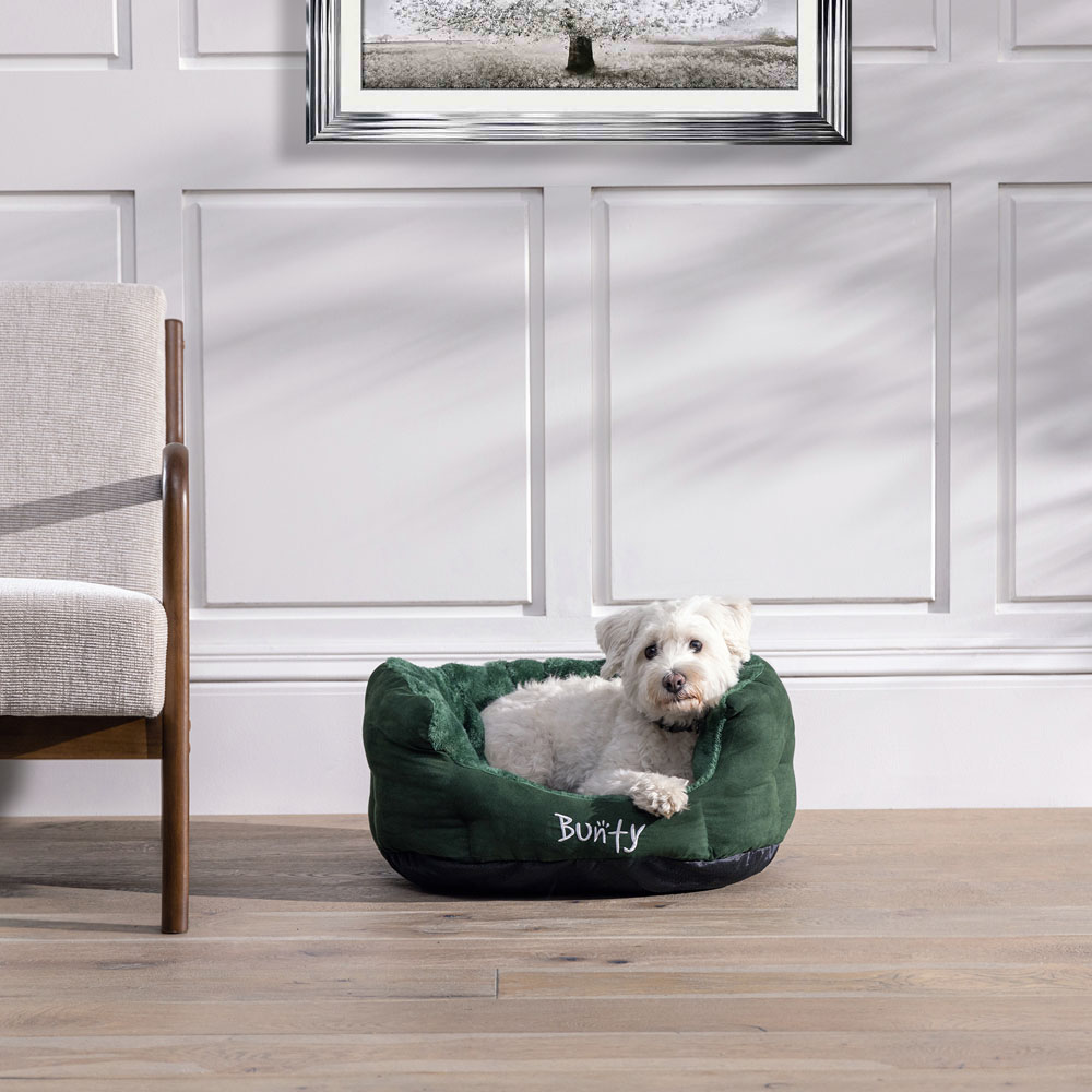 Bunty Polar Medium Green Dog Bed Image 6