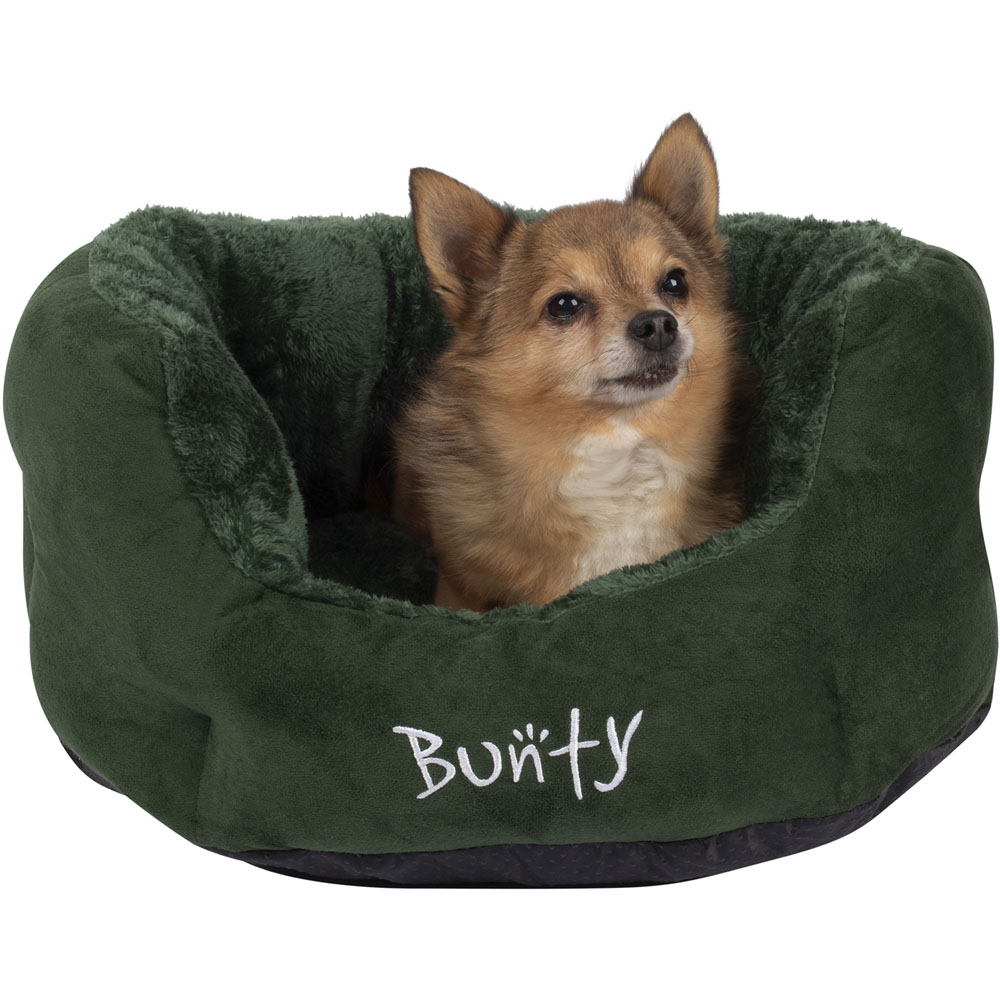 Bunty Polar Small Green Dog Bed Image 5