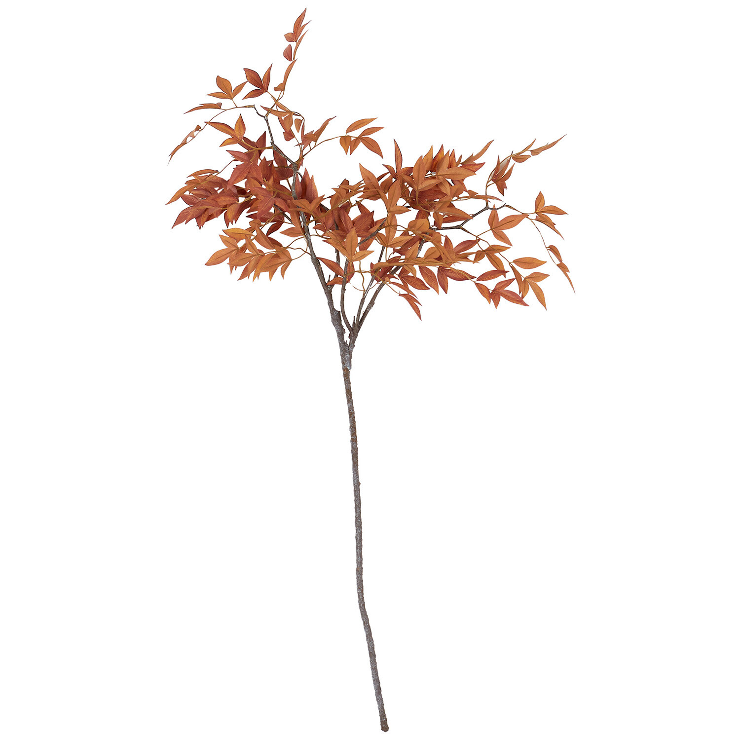 Bamboo Branch Image 1