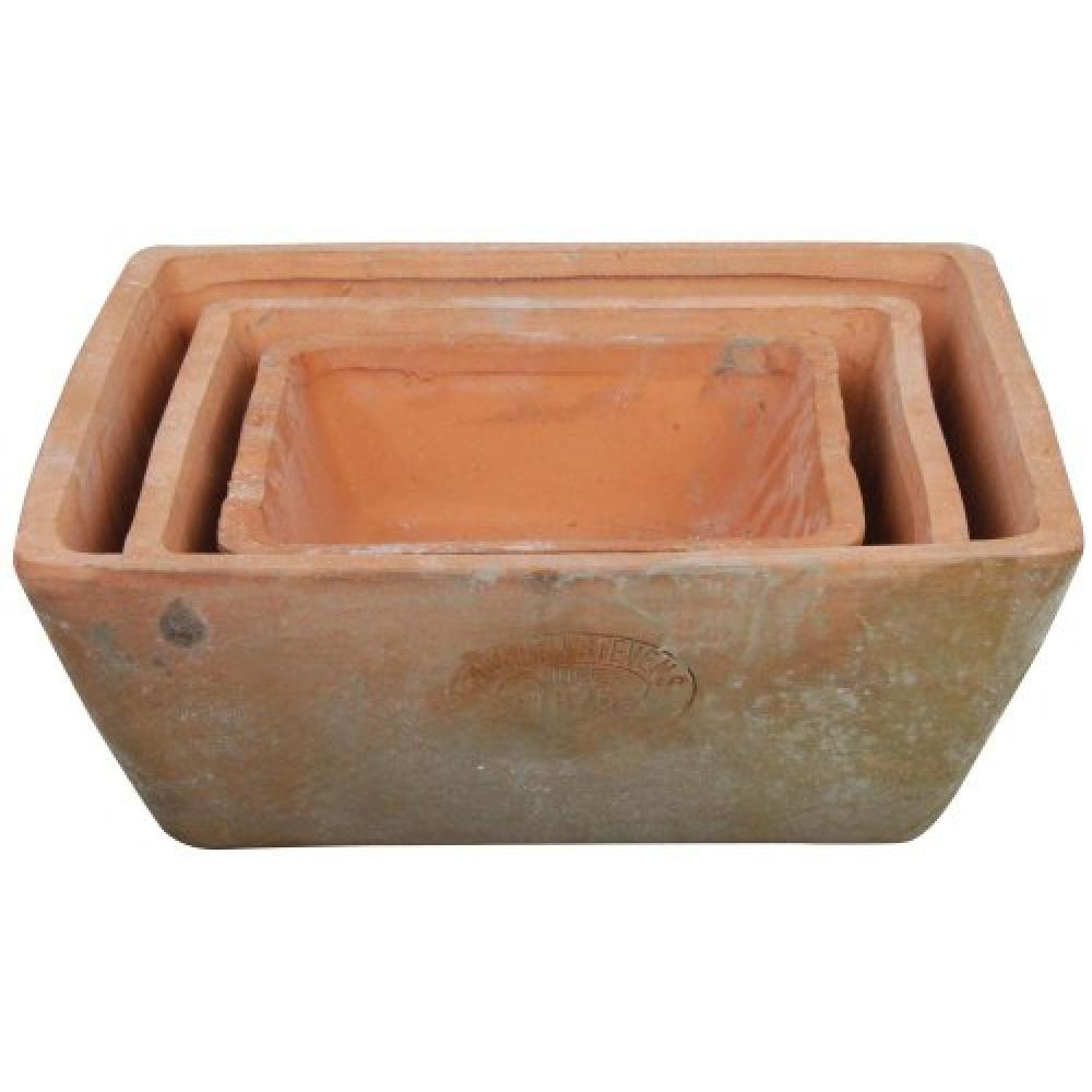 Fallen Fruits Brown Square Aged Terracotta Pot Set of 3 Image