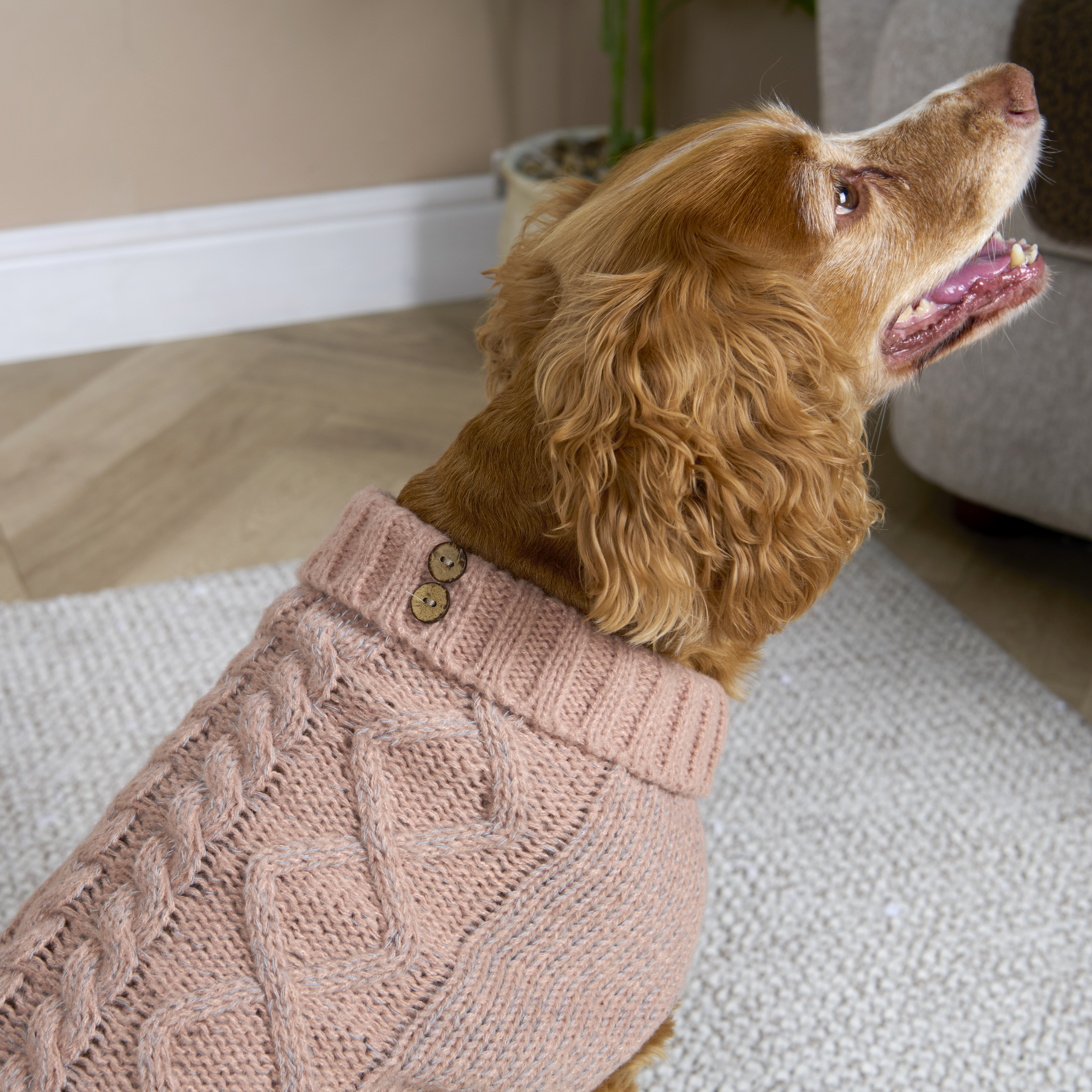 Reflective Roll Neck Pet Jumper M Image 10
