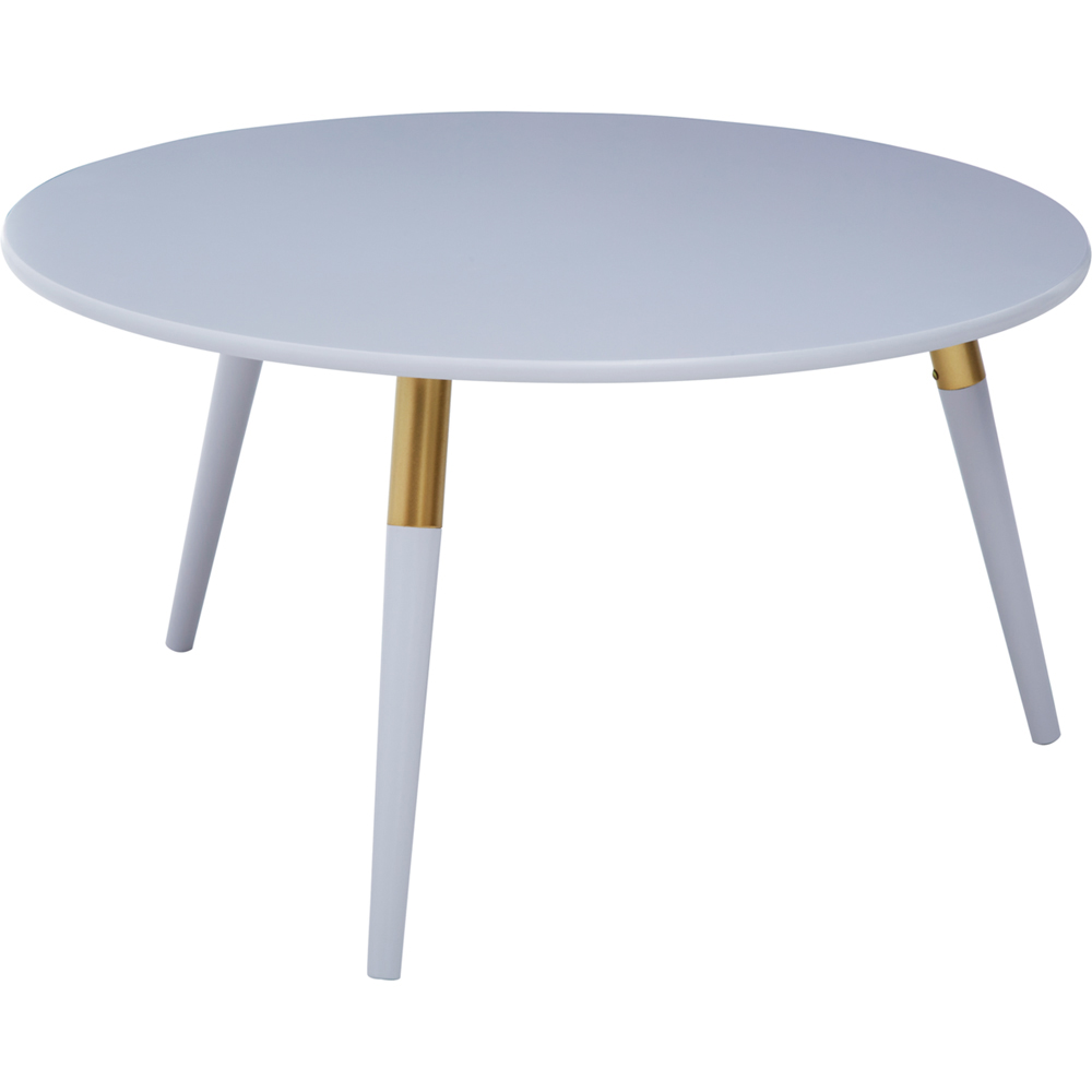 Premier Housewares Light Grey Large Coffee Table Image 2