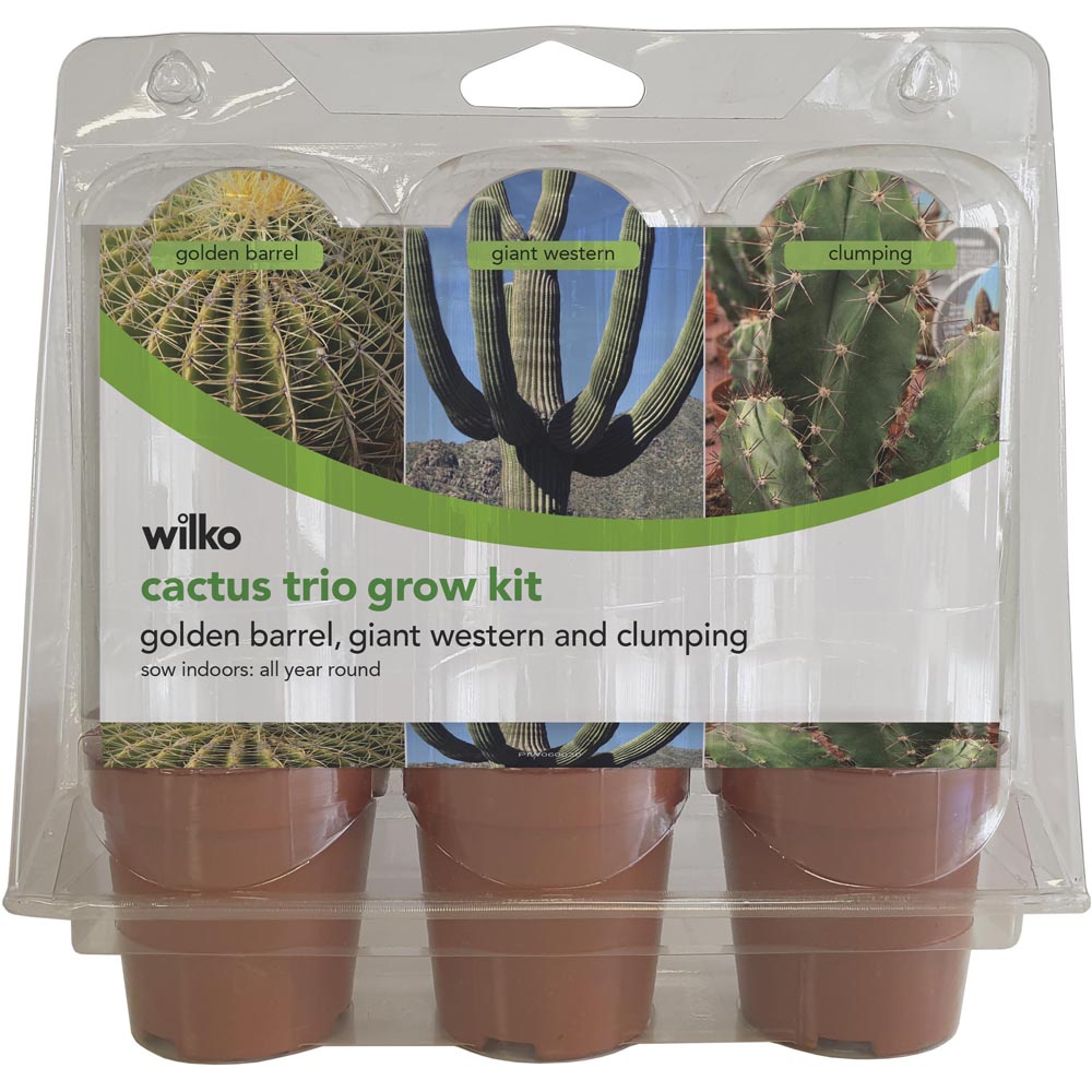 Wilko Grow Your Own Cactus Trio Kit Image