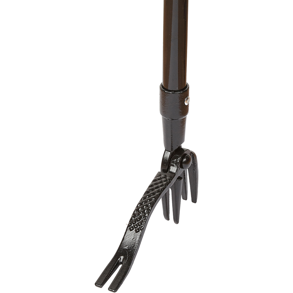 Easy Weeder Image 3
