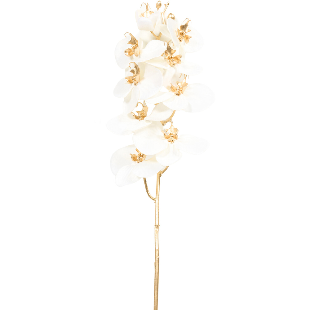 Shimmer Orchid Stem Image 9