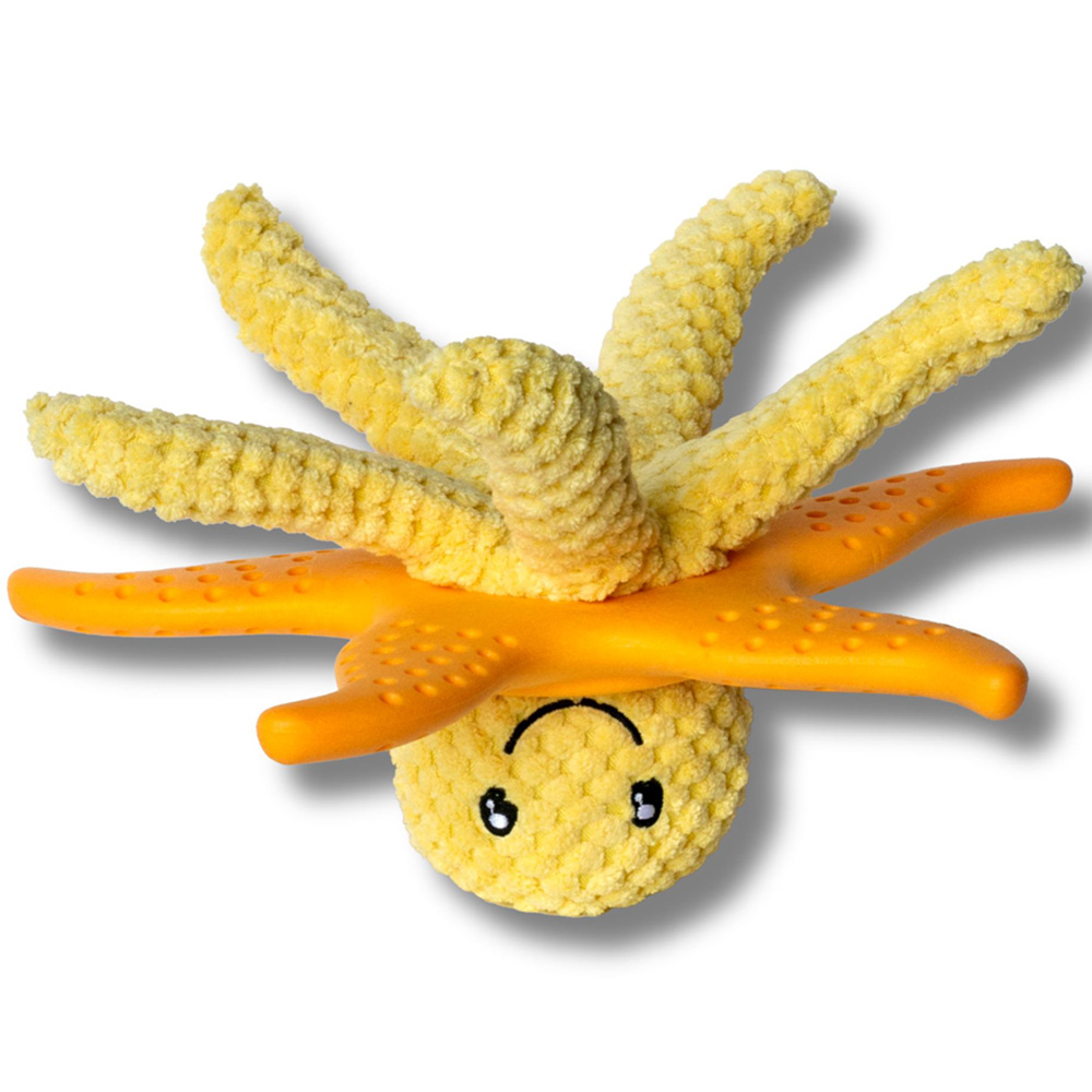 Kiwi Walker Lets Play Orange Octopus and Starfish Dog Toy Image 4
