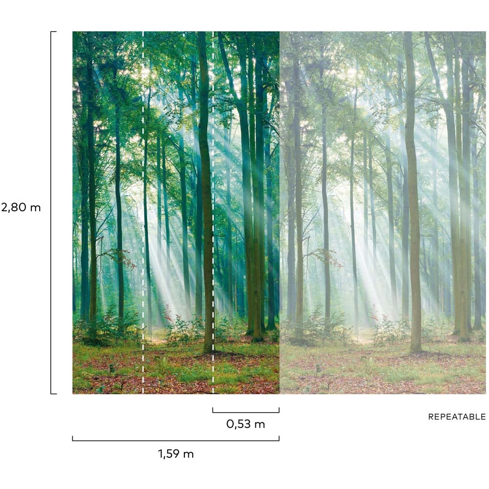 Grandeco Photographic Trees 3 Lane Wall Mural Image 4