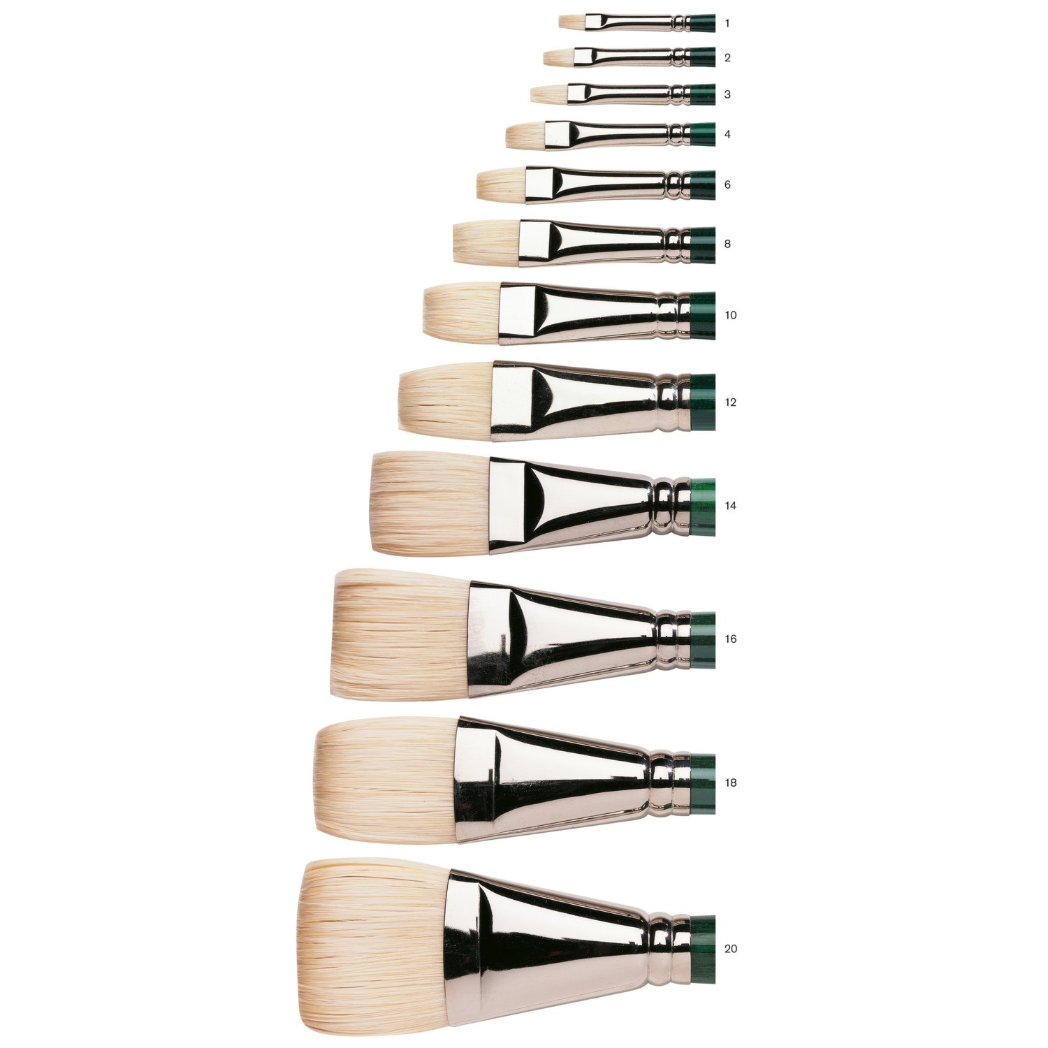 Winsor and Newton Winton Short Flat Brush - No. 1 Image 2