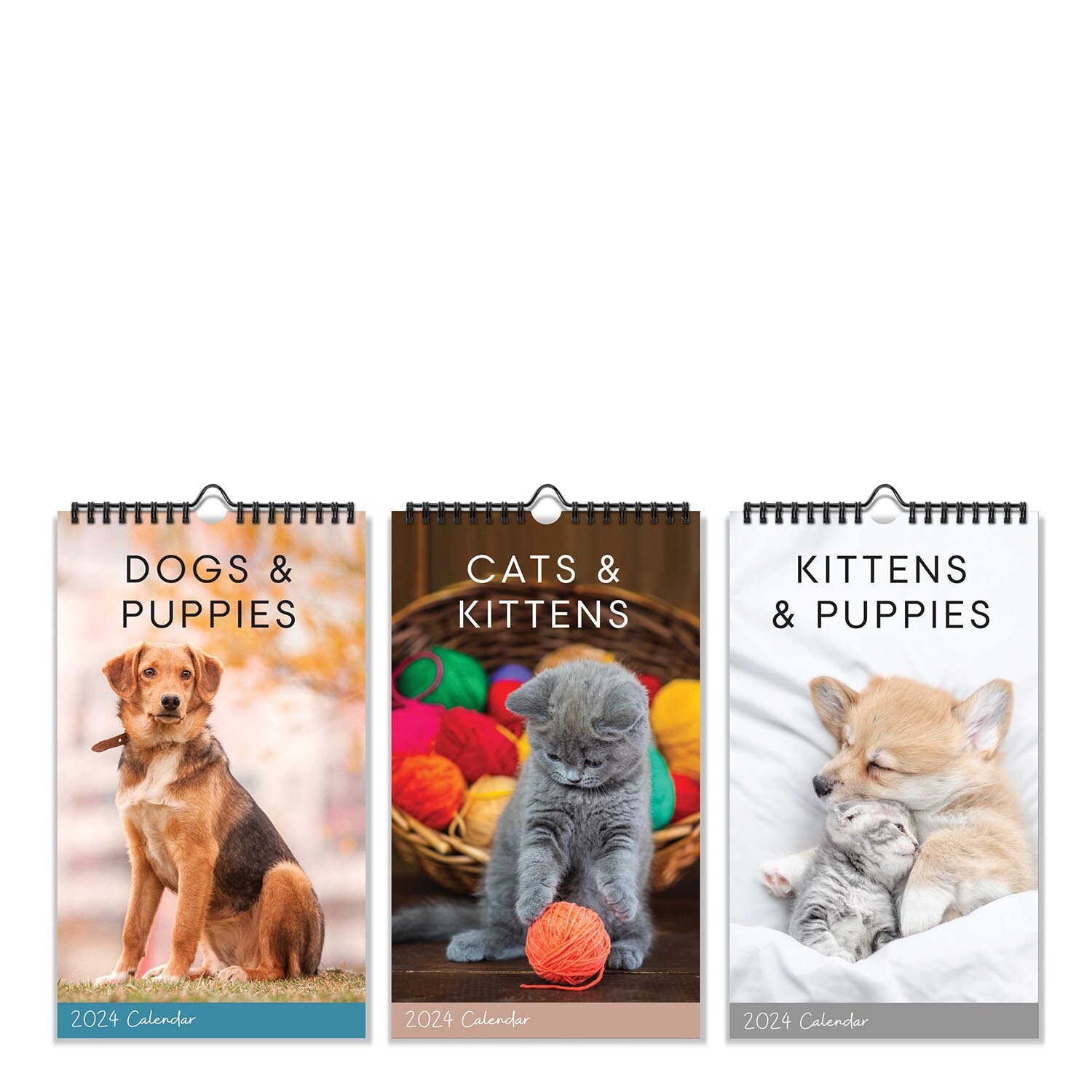 Cats and Dogs Midi Spiral Calendar Image 10