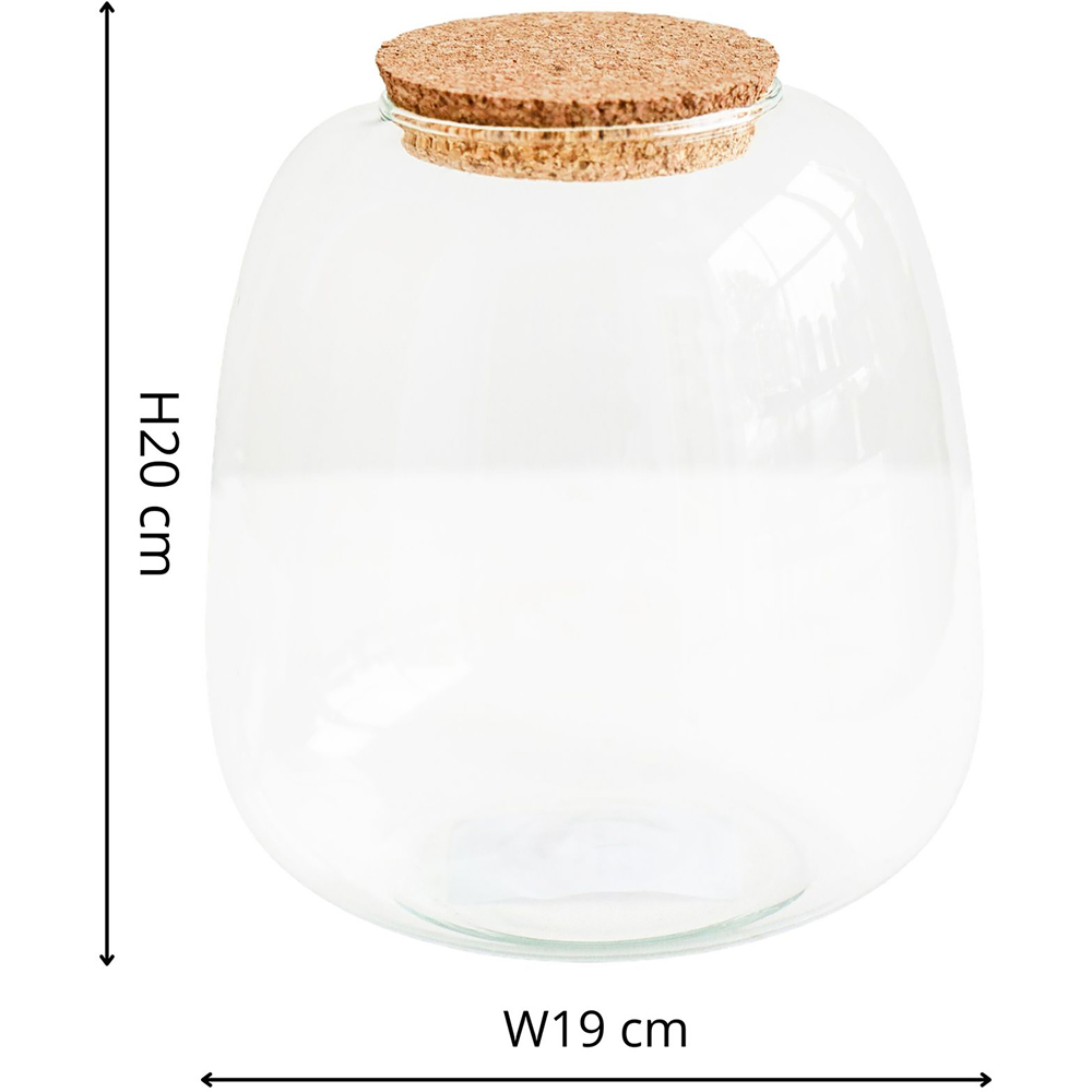 Ivyline Medium Bowl Shape Terrarium DIY Kit 20 x 19cm Image 6