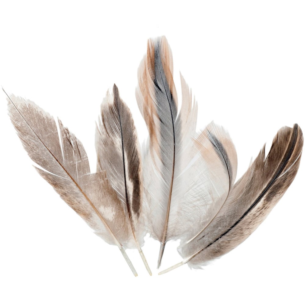 Trimits Duck Feathers - Natural Image 1