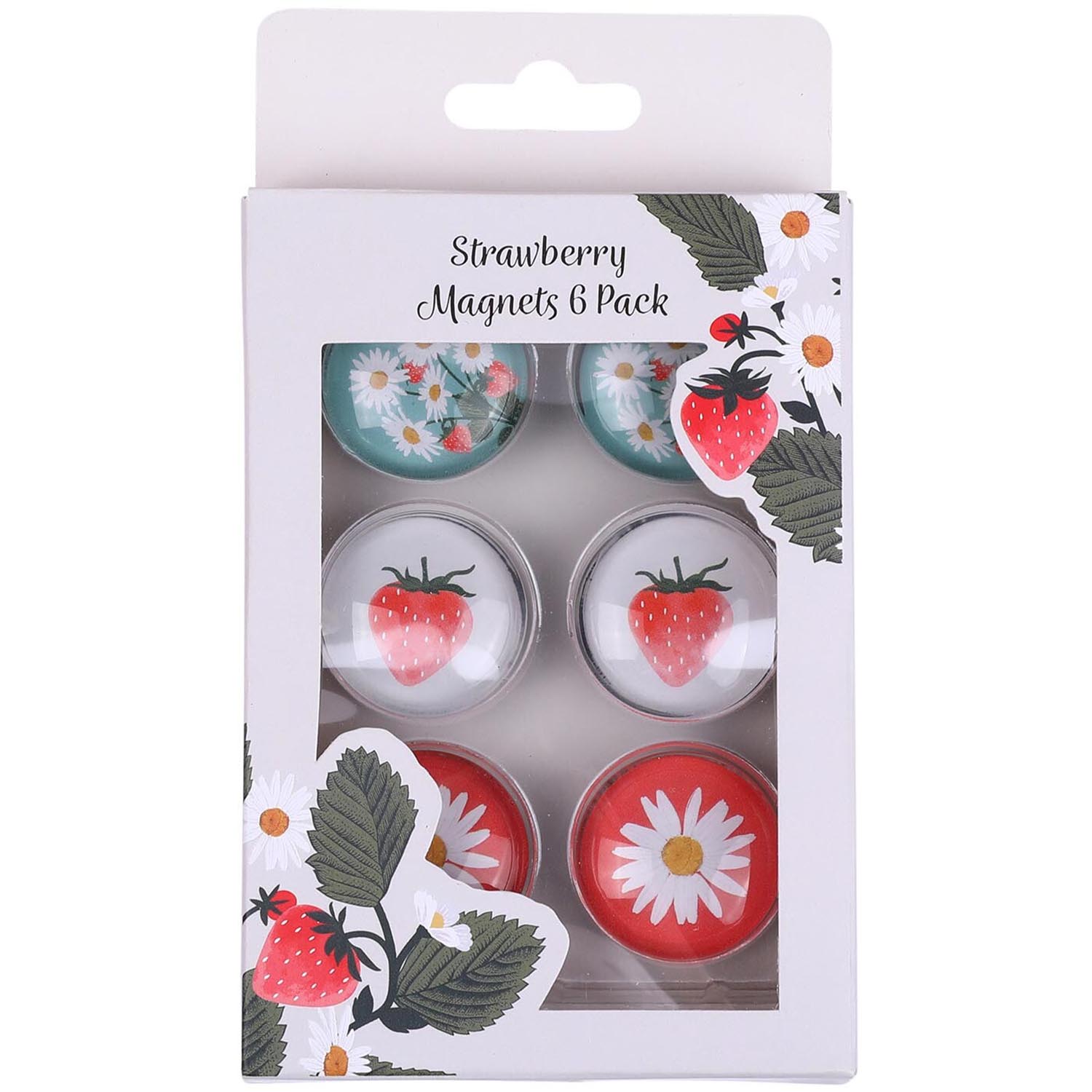 Pack of 6 Strawberry Magnets Image