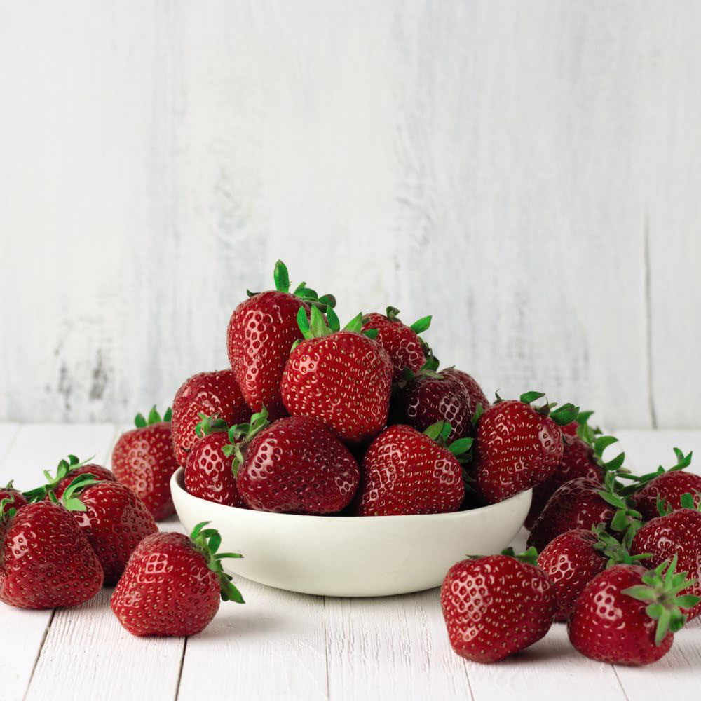 Thompson and Morgan Berry Trio Collection Plant Pot 9cm 3 Pack Image 2