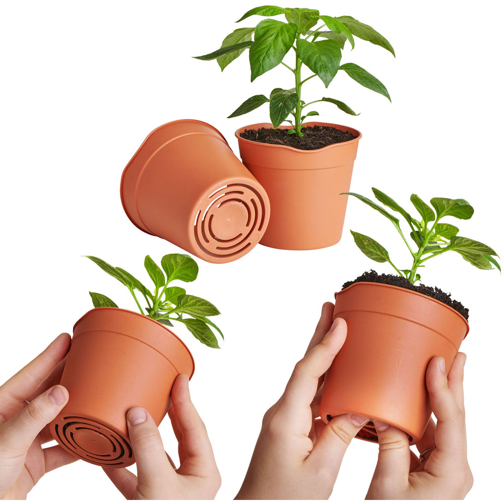 Clever Pots Herb Sow and Grow Kit with 5 Easy Release Pots Image 3