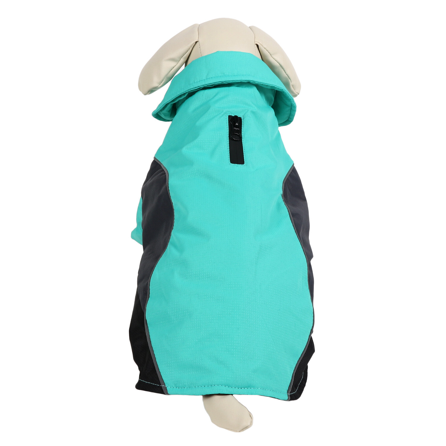 Curve Performance Dog Coat  - Turquoise / XXL Image 1